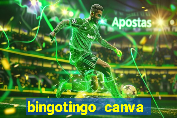 bingotingo canva pro gratis